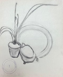 Vintage French Impressionist Aloe Vera Plant Interior Pencil Sketch