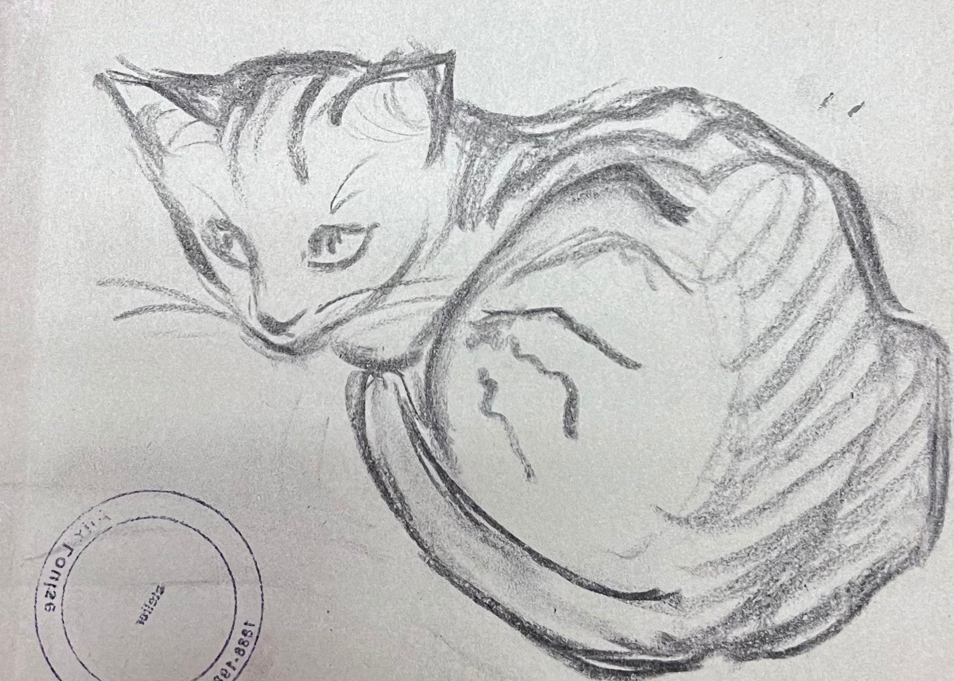 French Impressionist Portrait of Curled Up Kitten Pencil Sketch - Painting by Louise Alix