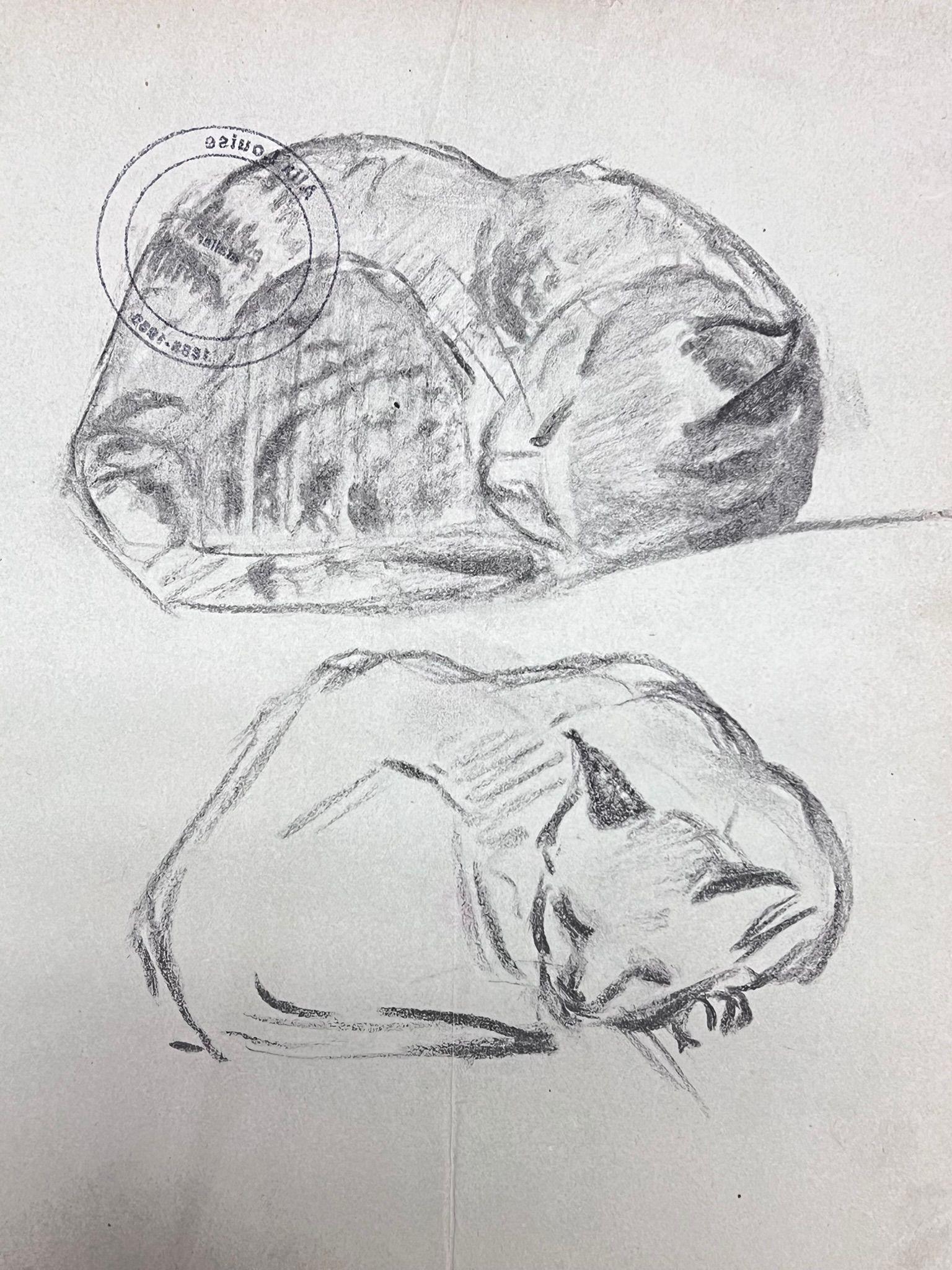 French Impressionist Portrait of Curled Up Kittens Pencil Sketch - Painting by Louise Alix