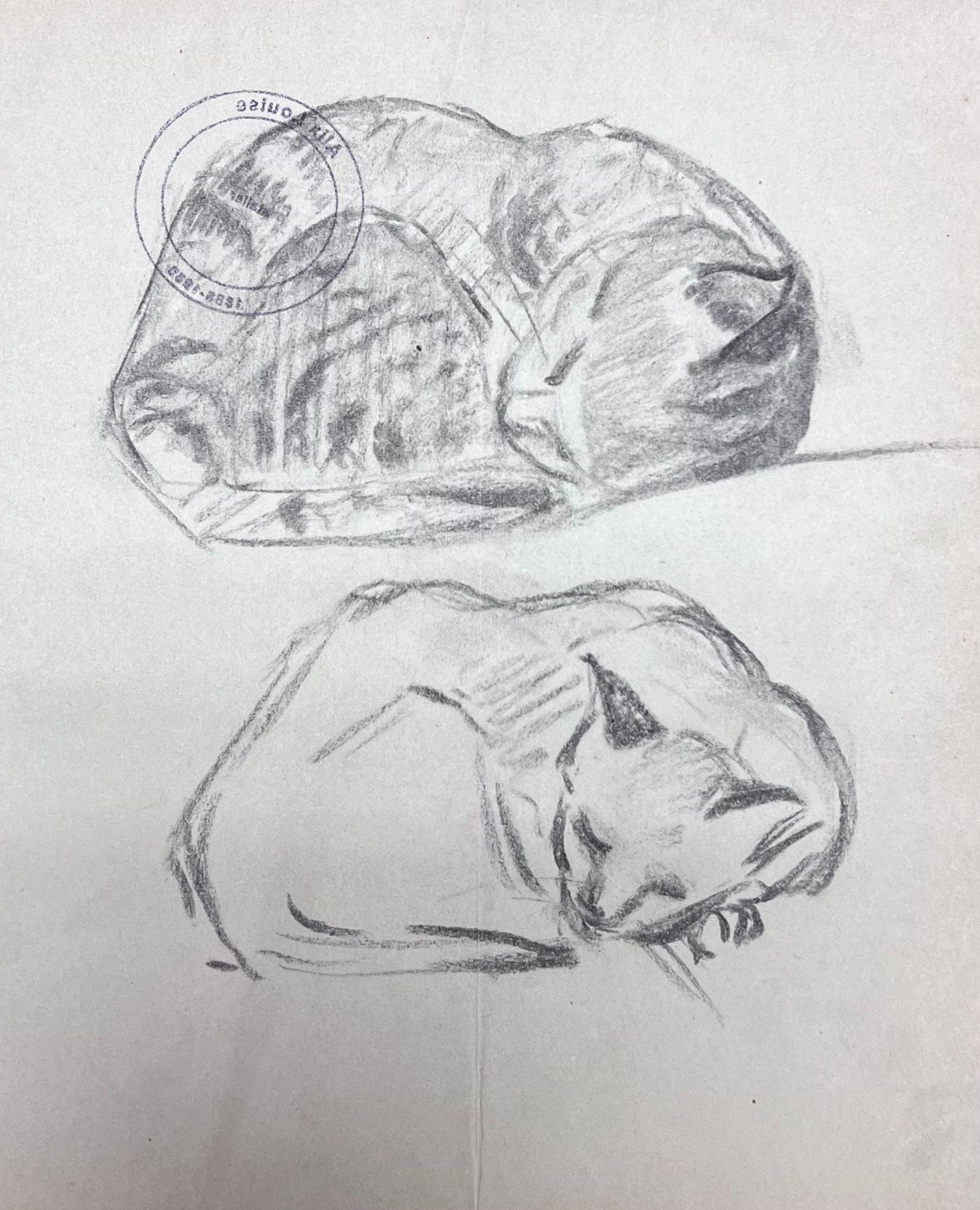 Kittens
by Louise Alix (French, 1888-1980) *see notes below
provenance stamp to the back 
pencil drawing on artist paper, unframed
measures: 10 high by 8.25 inches wide
condition: overall very good and sound, a few scuffs and marks to the surface