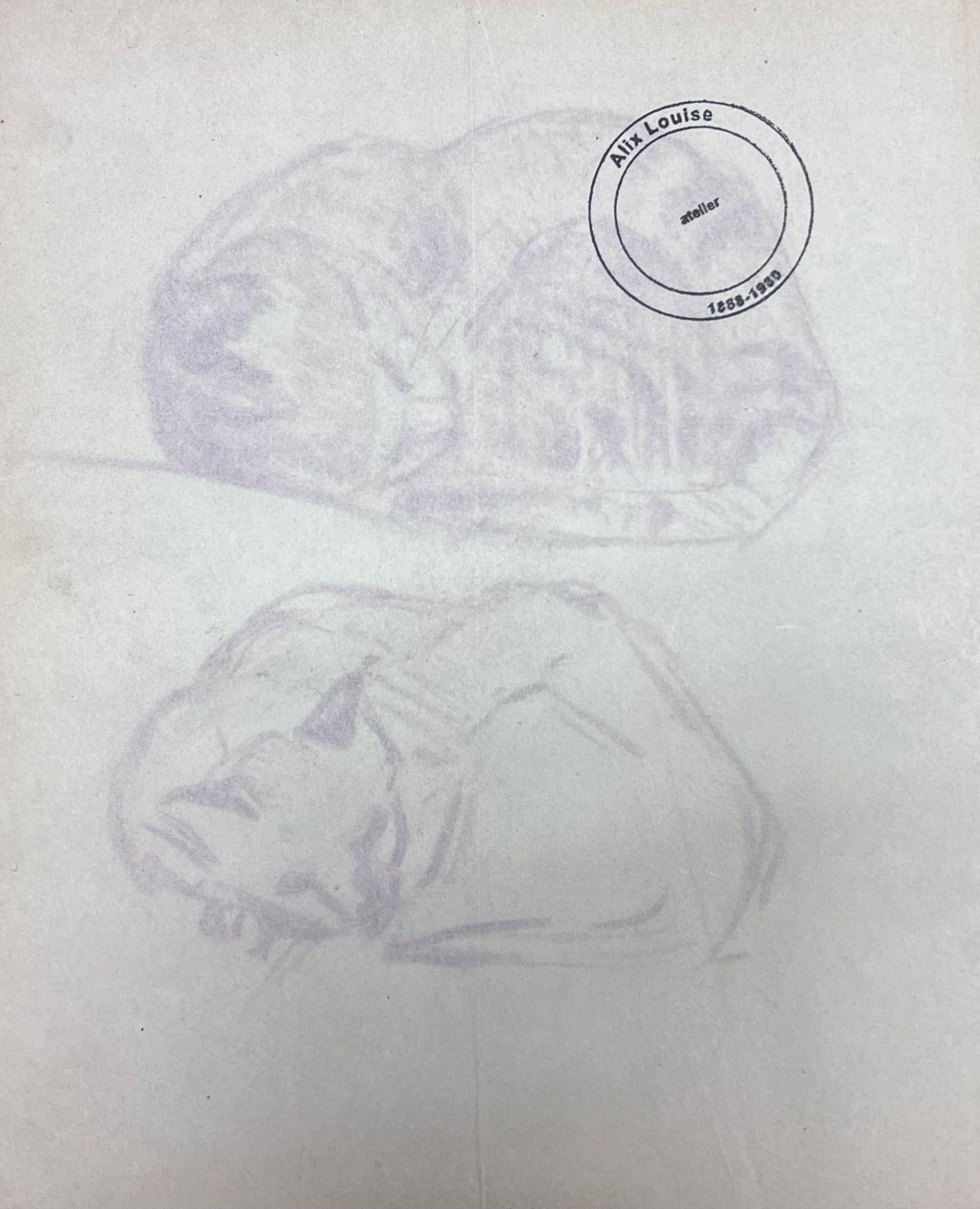 French Impressionist Portrait of Curled Up Kittens Pencil Sketch 1