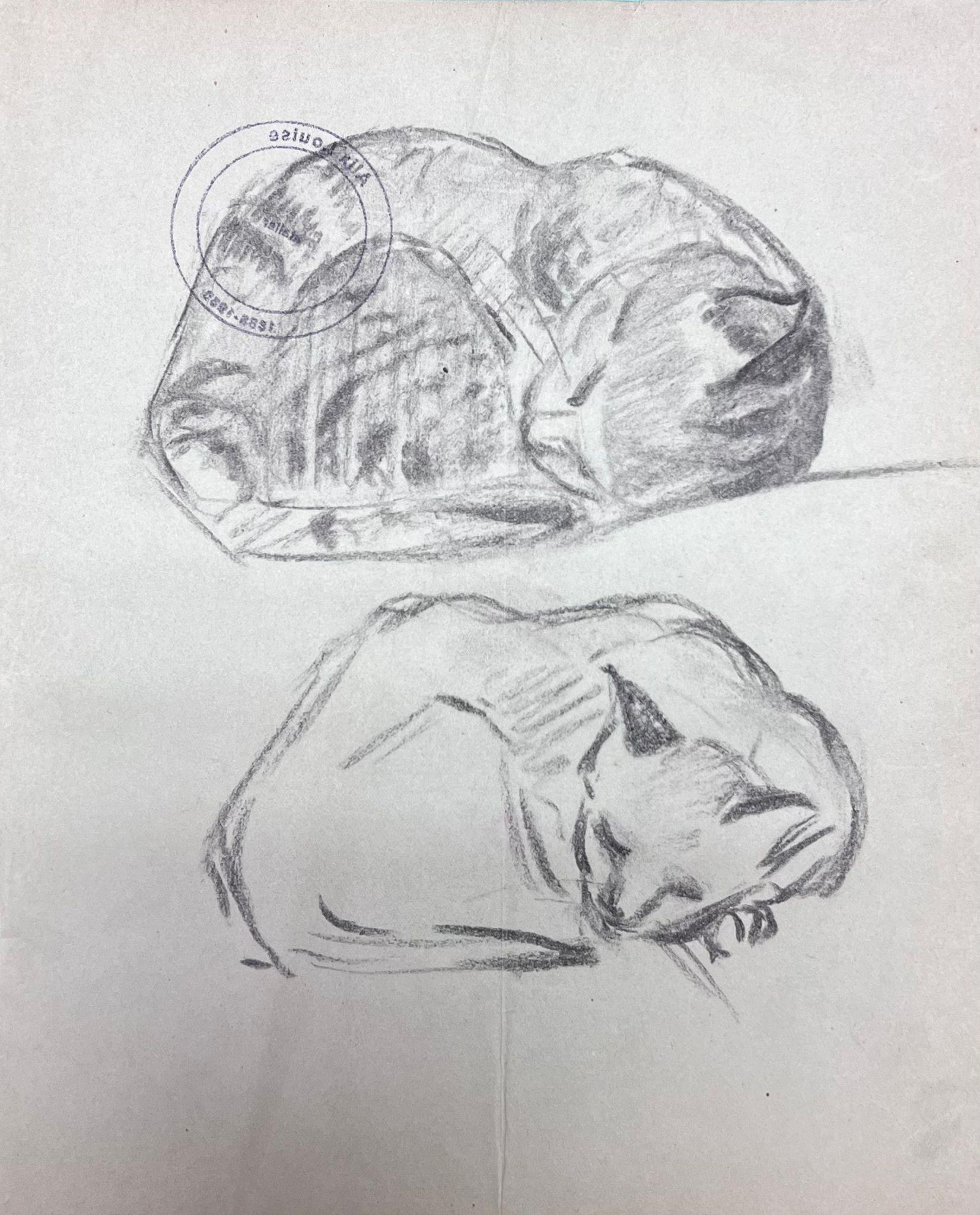 Louise Alix Animal Painting - French Impressionist Portrait of Curled Up Kittens Pencil Sketch
