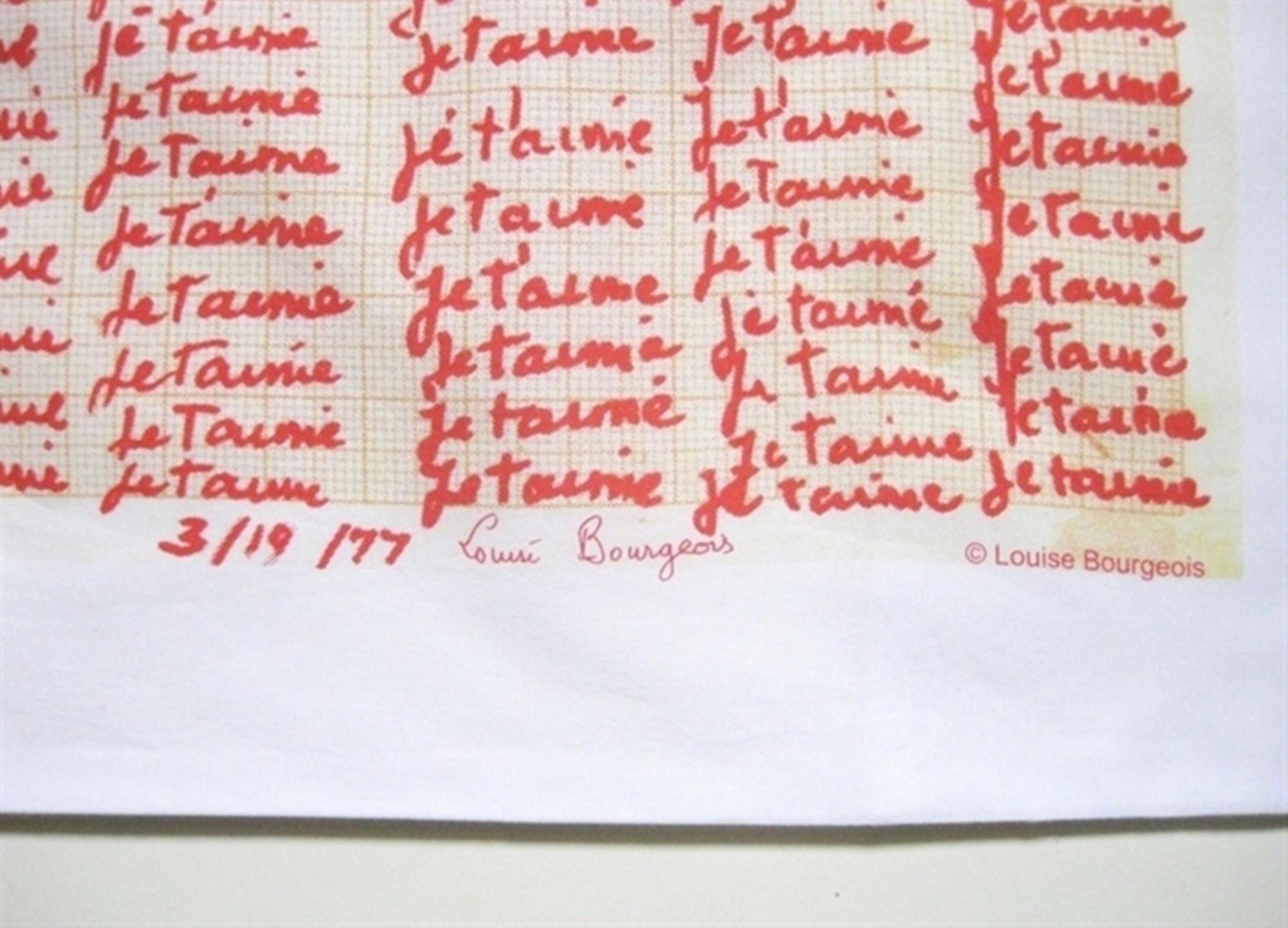 Red Room (Parents) detail (double sided pillowcase) - Contemporary Print by Louise Bourgeois