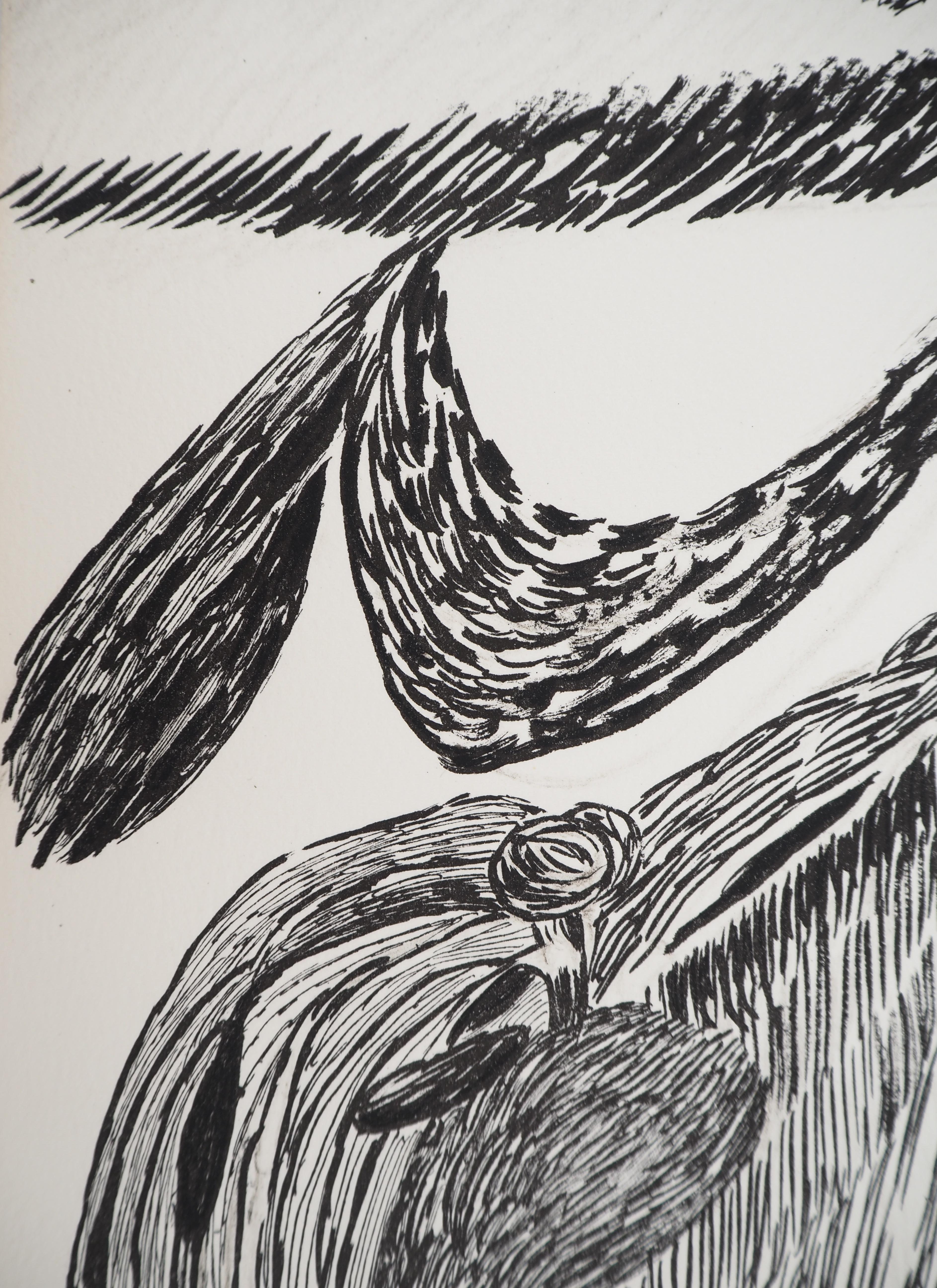 Louise BOURGEOIS (1911-2010)
Vida interior, 1985

Litografía original
Firmado en la placa
Sobre vitela Arches, 31 x 21 cm (c. 12 x 8 pulg.)

REFERENCIAS: Wye Smith Catálogo Razonado nº 78-2

INFORMACIÓN: Una copia de esta litografía se encuentra en