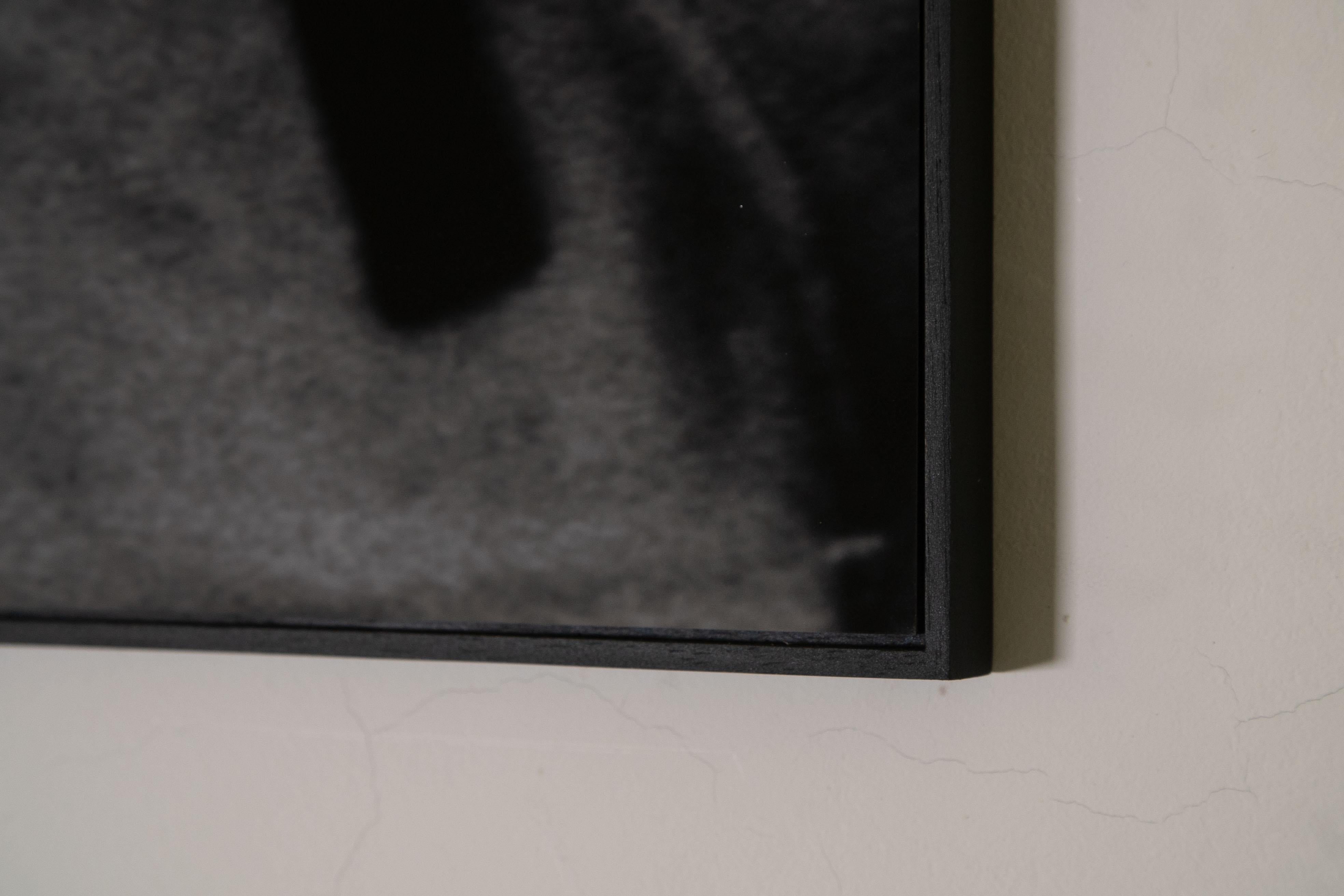 Photo en noir et blanc d'un homme tenant une ficelle, intitulée 'Je vraagt je af = Tu te demandes pourquoi...'