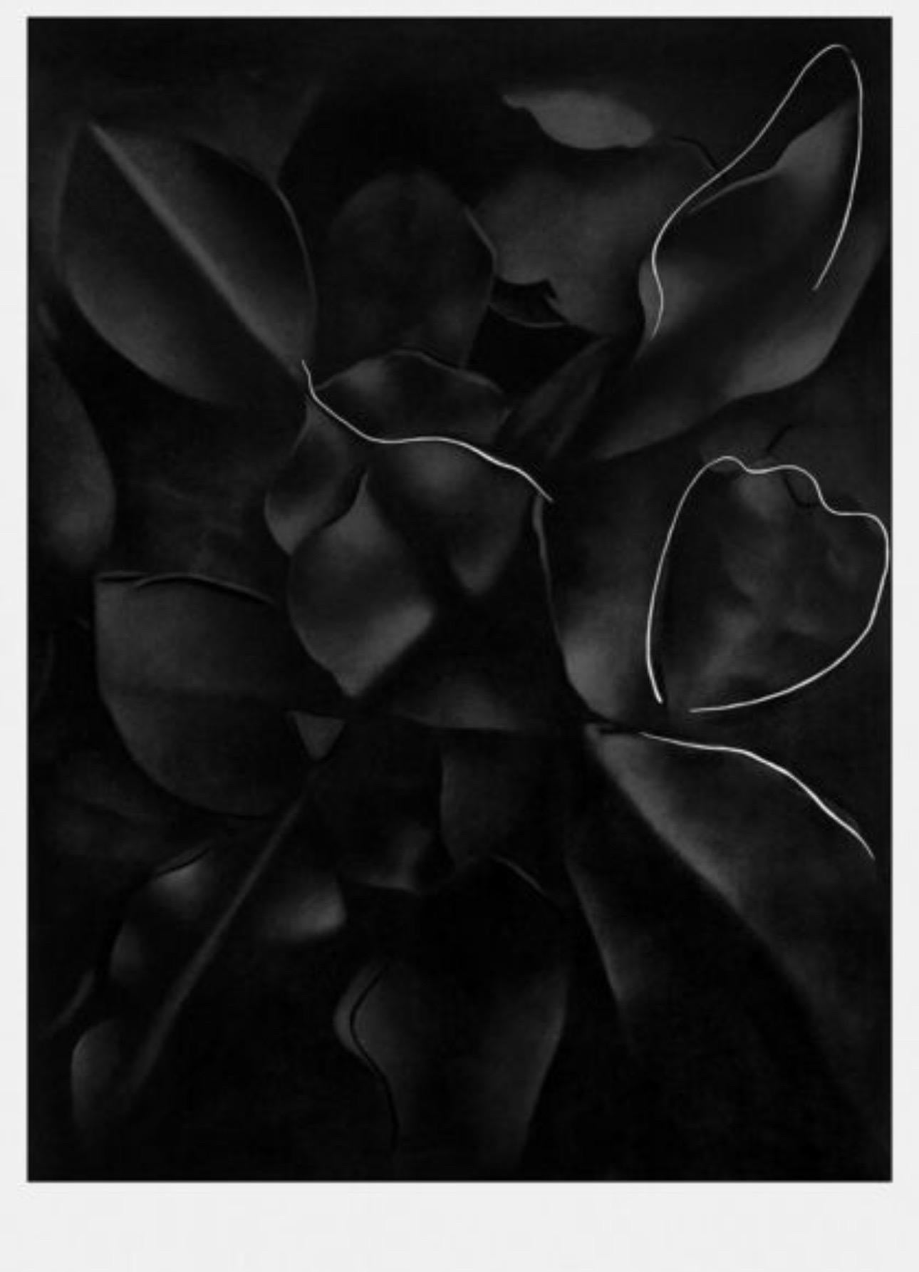 Louise Giovanelli, An Ex IV, NYC Subway / Frankfurt am Main, 2019 - Print by Louise Giovanelli 