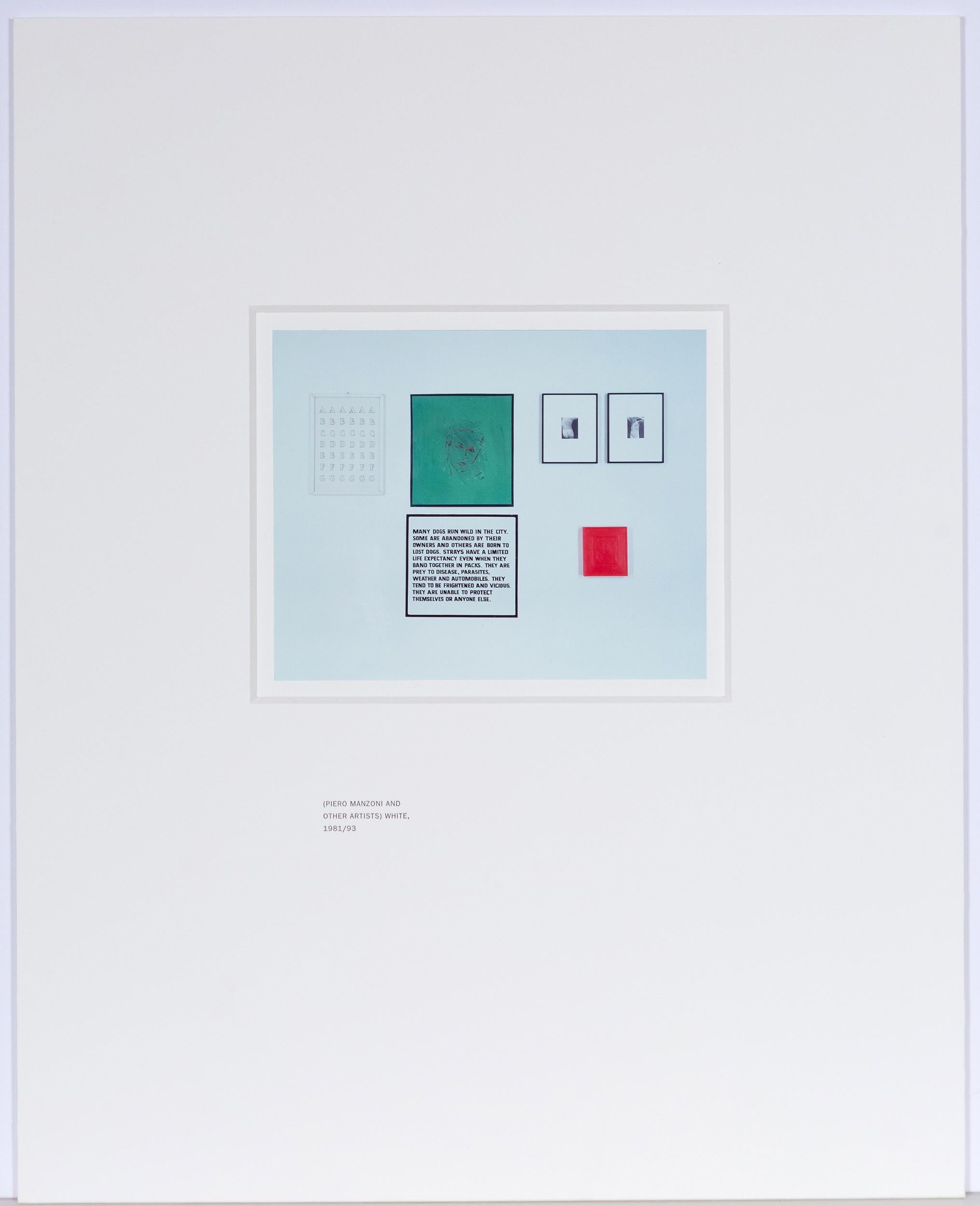 Piero Manzoni (And Other Artists) White 10
