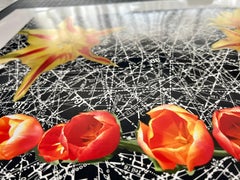 Aviation Garden (Cut-out, Collage, Black & White, Patterns, Organic)