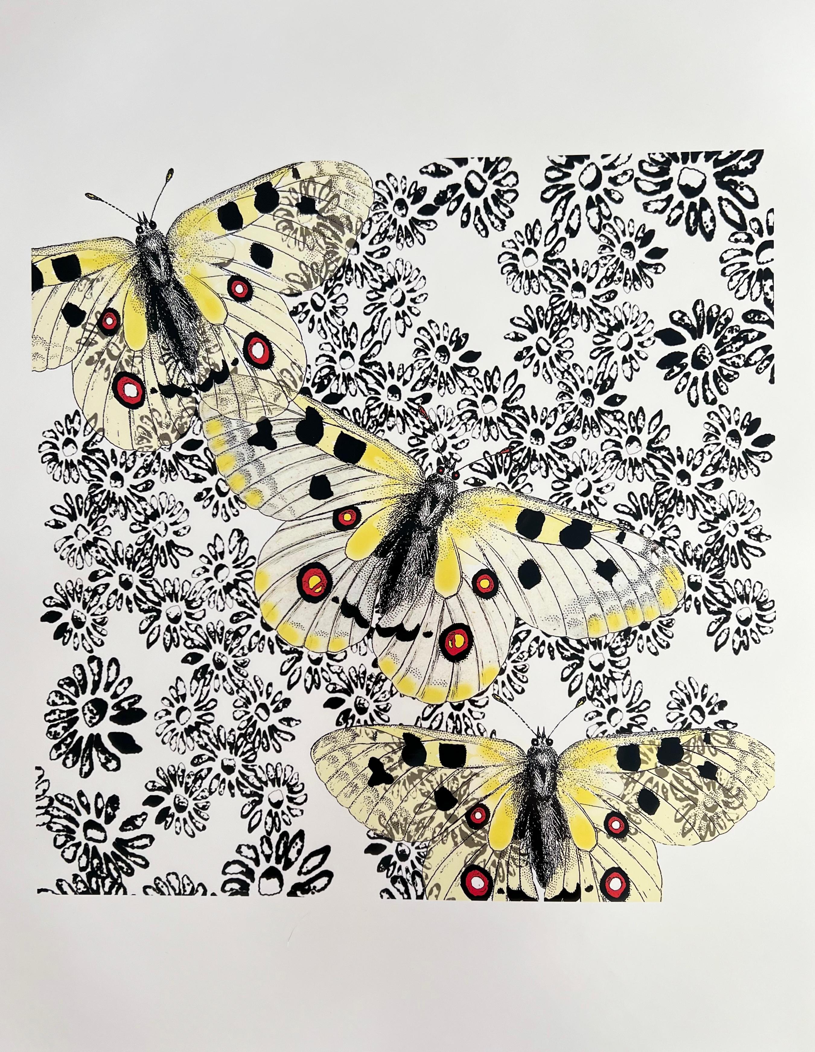 Butterflies and Daisies (Cut-out, Collage, Black & White, Patterns, Organic)