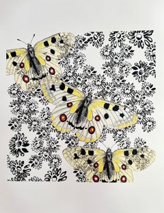 Papillons et marguerites (découpage, collage, noir et blanc, motifs, organique)