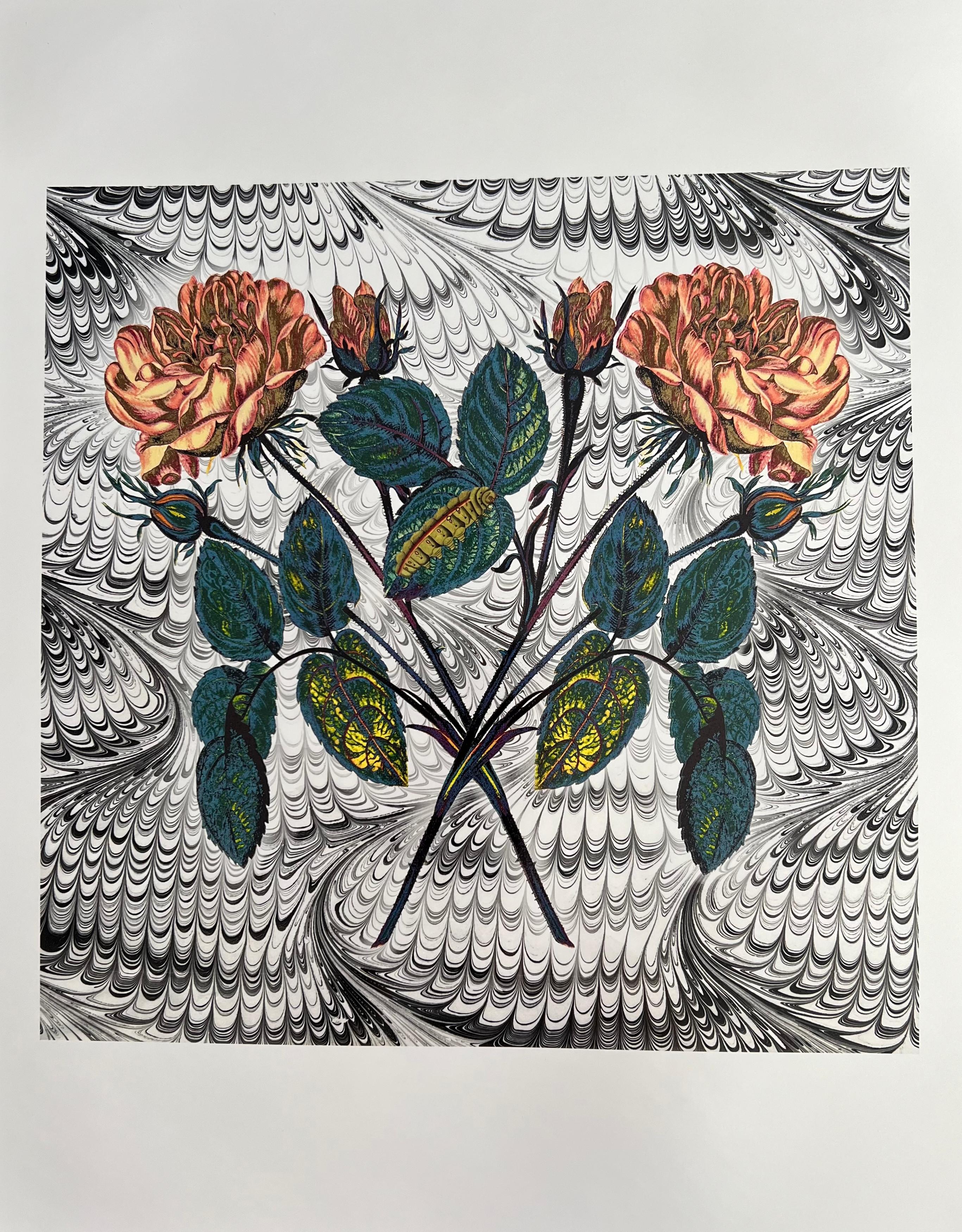 Louise Marler Figurative Print - Crossed Roses (Cut-out, Collage, Black & White, Patterns, Organic)