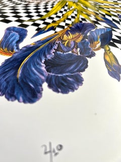 Diamond Iris (Cut-out, Collage, Black & White, Patterns, Negative Space)