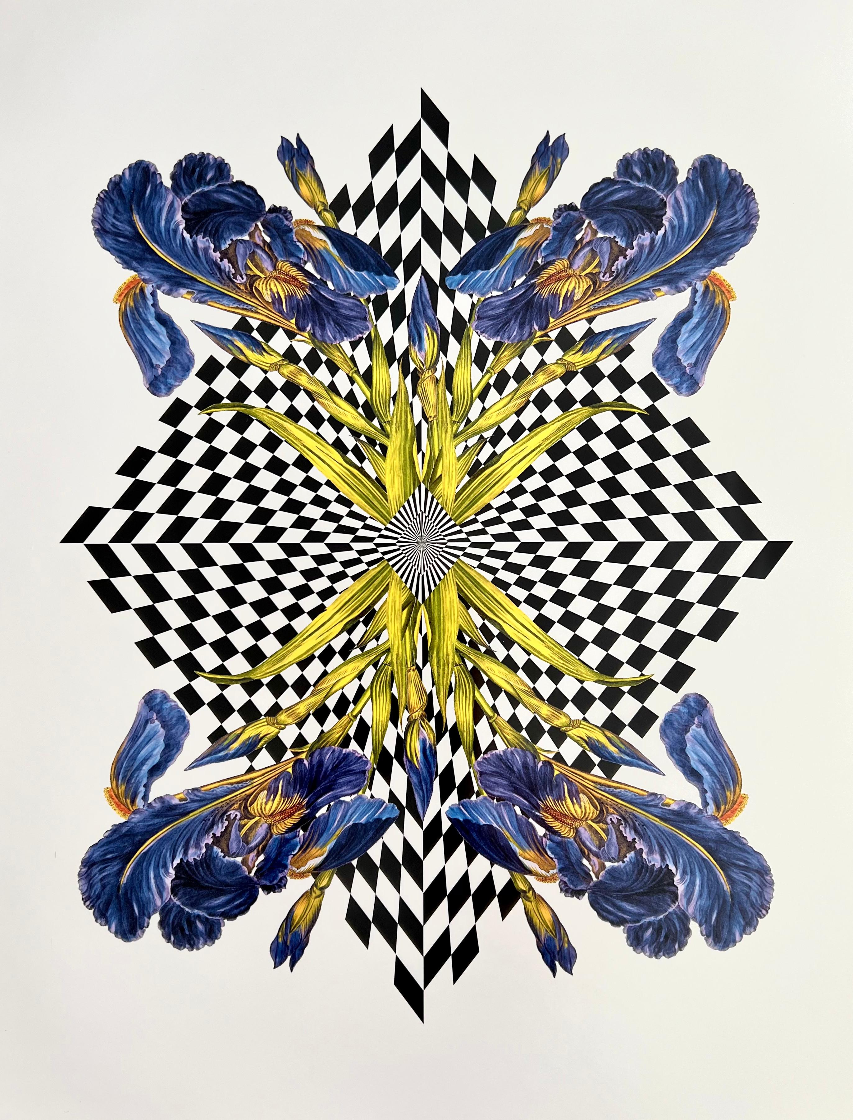 Diamond Iris (Cut-out, Collage, Black & White, Patterns, Negative Space) - Print by Louise Marler