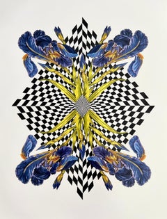 Diamond Iris (Cut-out, Collage, Black & White, Patterns, Negative Space)