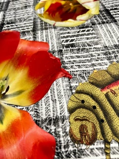 Tire Plaid Caterpillar (Cut-out, Collage, Black & White, Patterns, Organic)