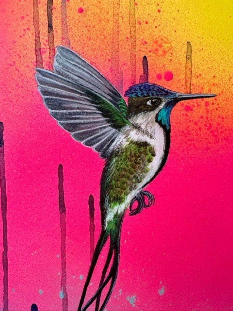 Wundervoller Spatelschwanzkolibri - Skatedeck Serie (Zeitgenössisch), Mixed Media Art, von Louise McNaught
