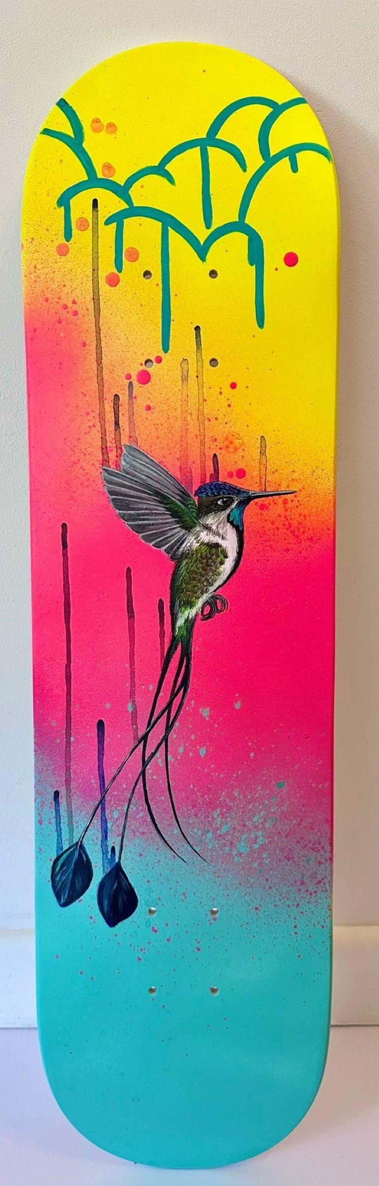 Wundervoller Spatelschwanzkolibri - Skatedeck Serie – Mixed Media Art von Louise McNaught