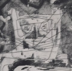 Animal Kingdom (Magnificent Jungle Cats)