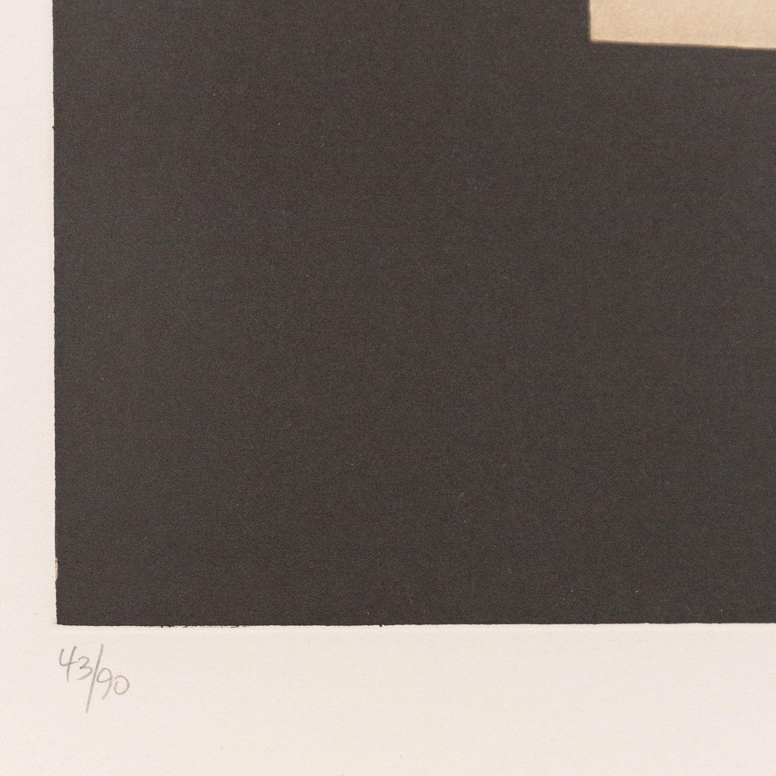 Presencia Gráfica, 1975  Aguafuerte y aguatinta sobre plancha de cobre  Firmado, por el artista 5