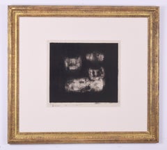 Magnificent Jungle Cats