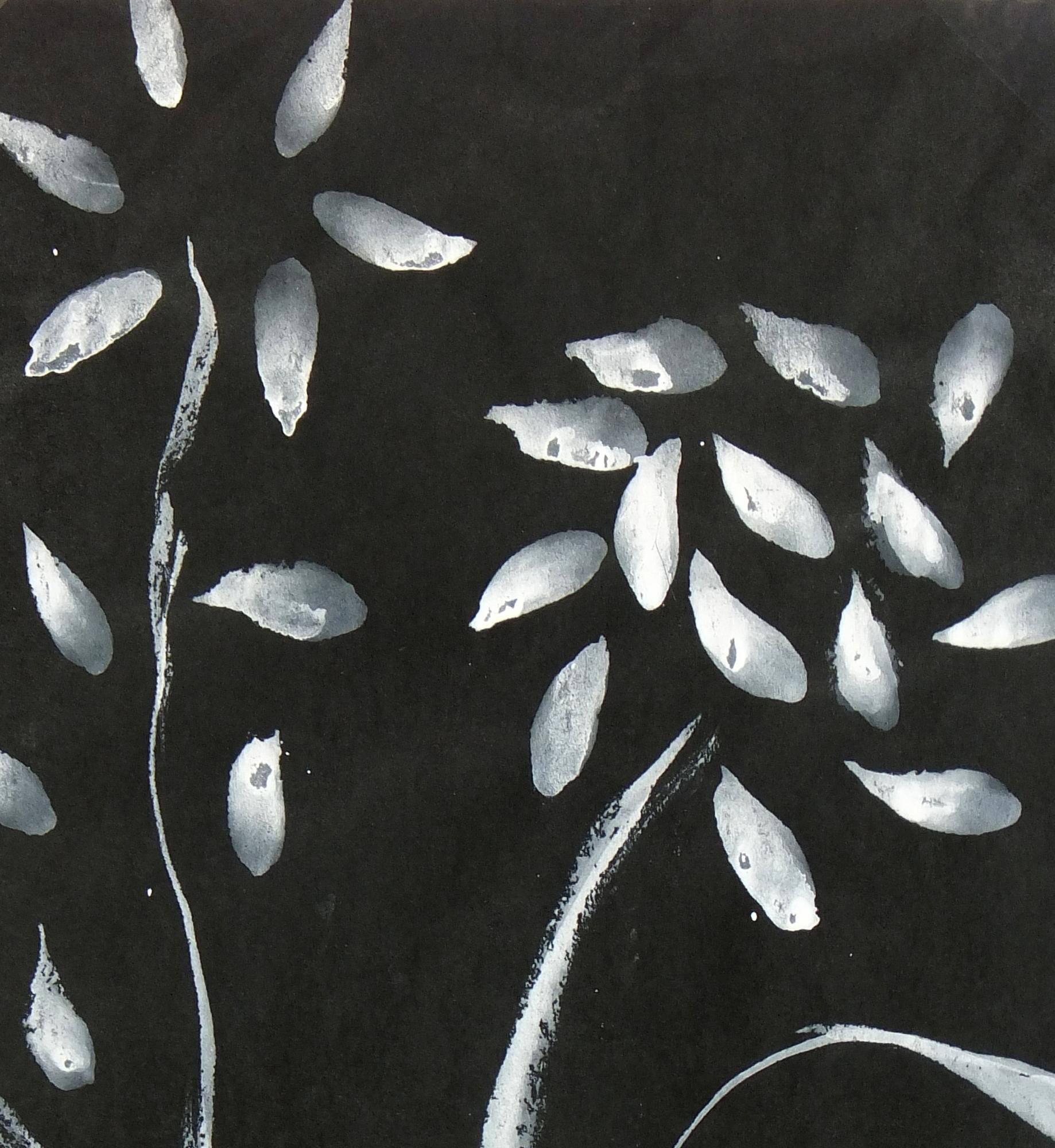 black and white flower paintings