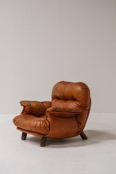 Lounge chair by E. Cobianchi for Insa Italy 1970