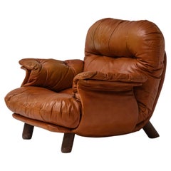 Lounge chair by E. Cobianchi for Insa Italy 1970