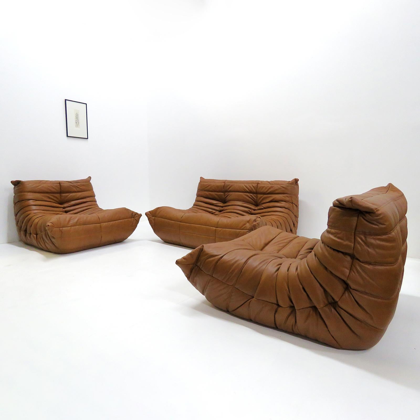 Leather Lounge Chair 'Togo' by Michel Ducaroy for Ligne Roset