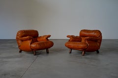 LOUNGE CHAIRS BY E. COBIANCHI FOR INSA ITALY - ITALY 1970s