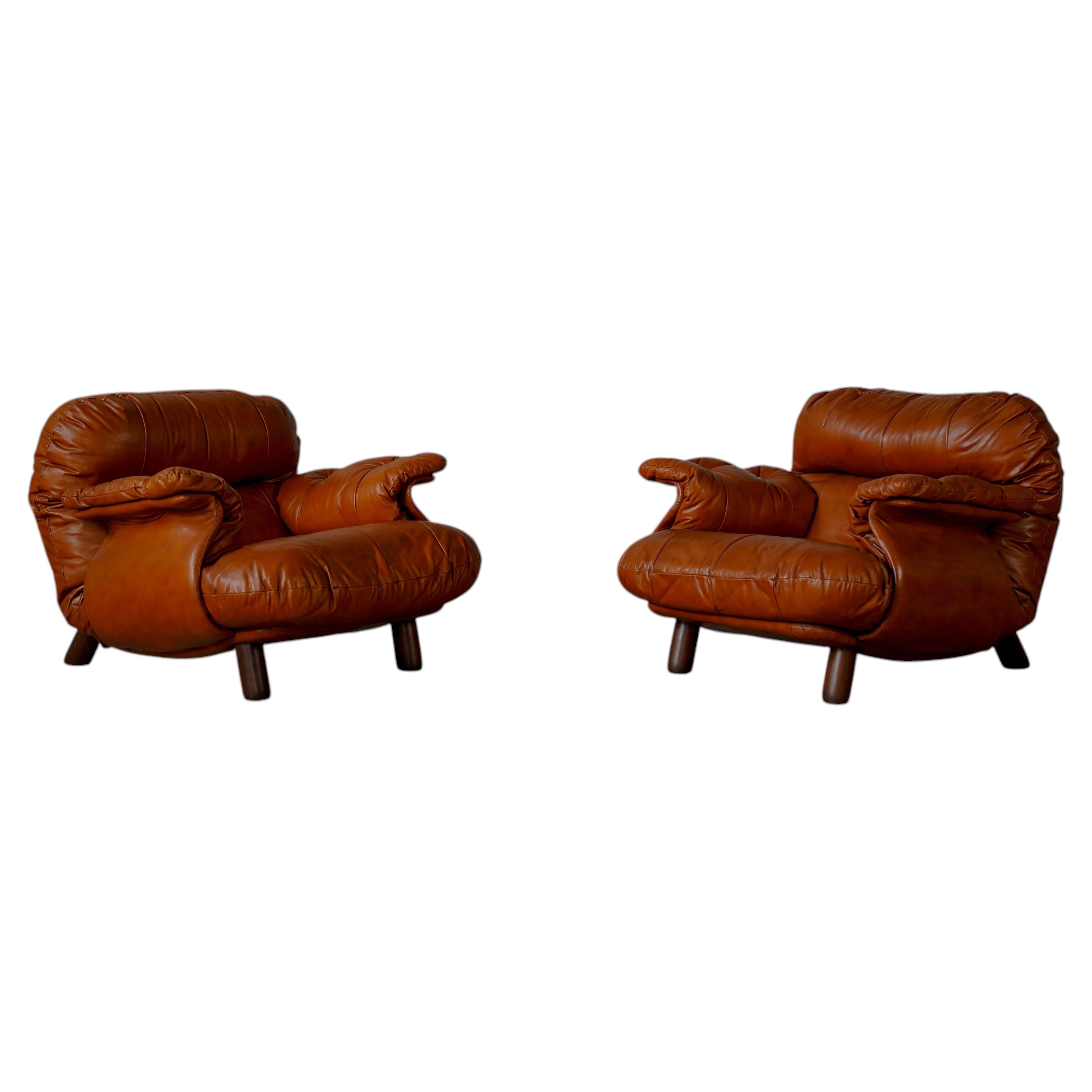 LOUNGE CHAIRS BY E. COBIANCHI FOR INSA ITALY - ITALY 1970s