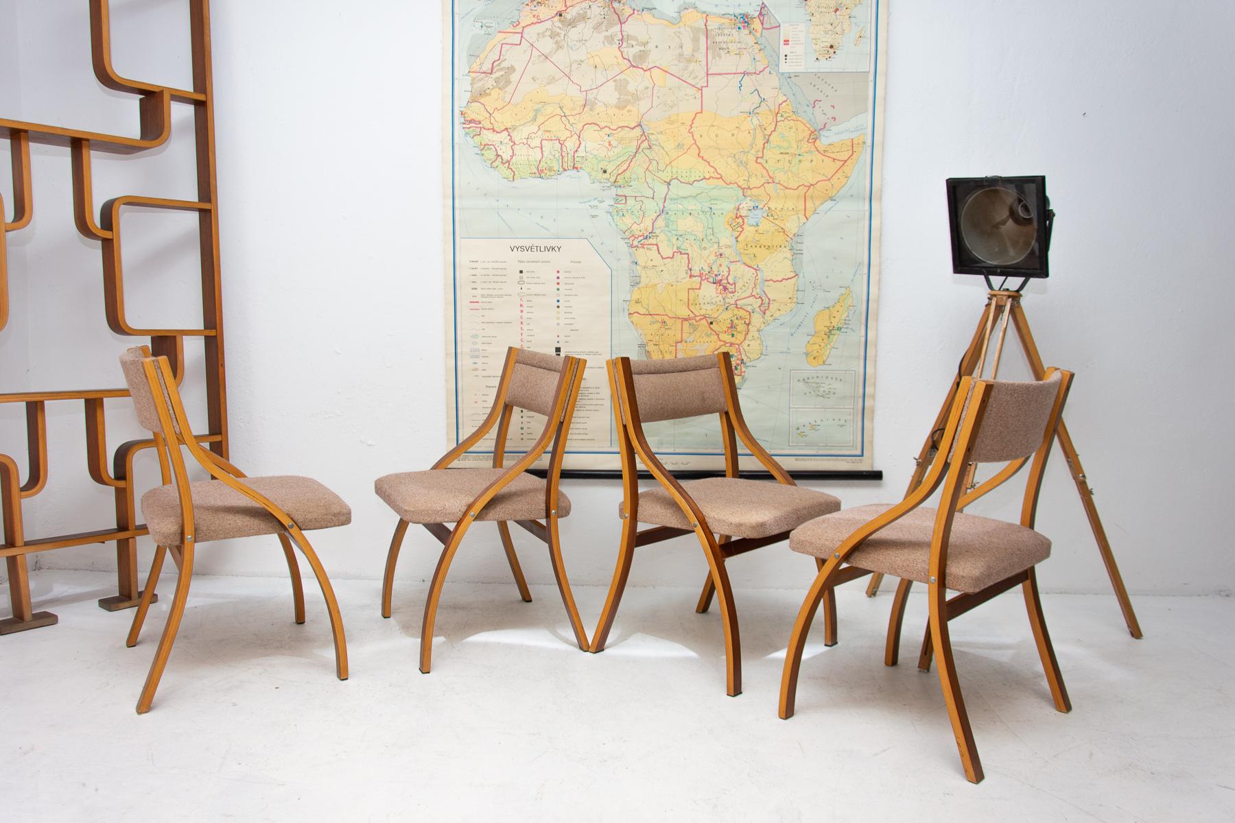 These lounge chairs were designed by Ludvík Volák for Drevopodnik Holešov. It was made in the former Czechoslovakia in the 1970´s. Features an upholstered seats and structure is made of mahogany bent plywood. In very good original condition, bears
