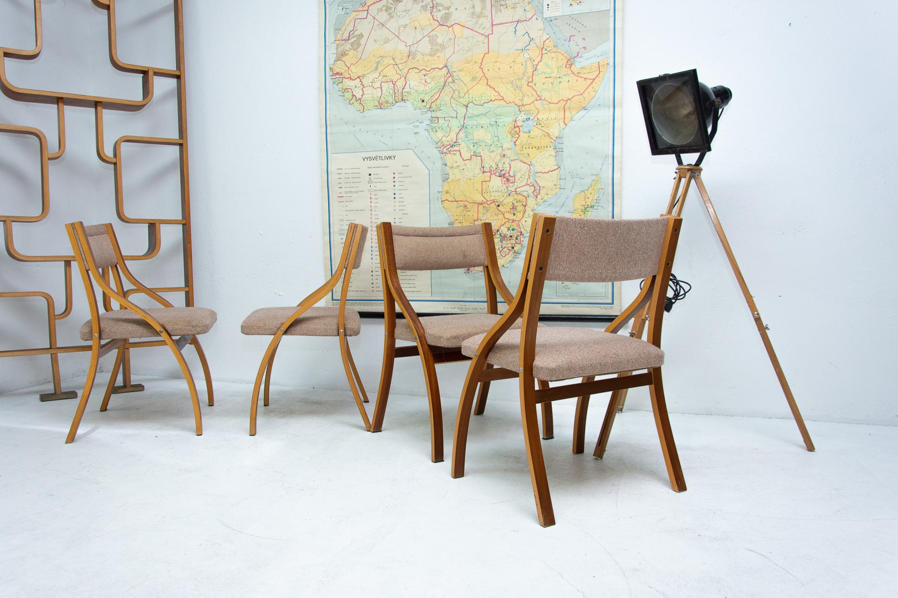 Mid-Century Modern Lounge Mahogany Chairs by Ludvík Volák for Dřevopodnik Holešov, 1970s, Set of 4