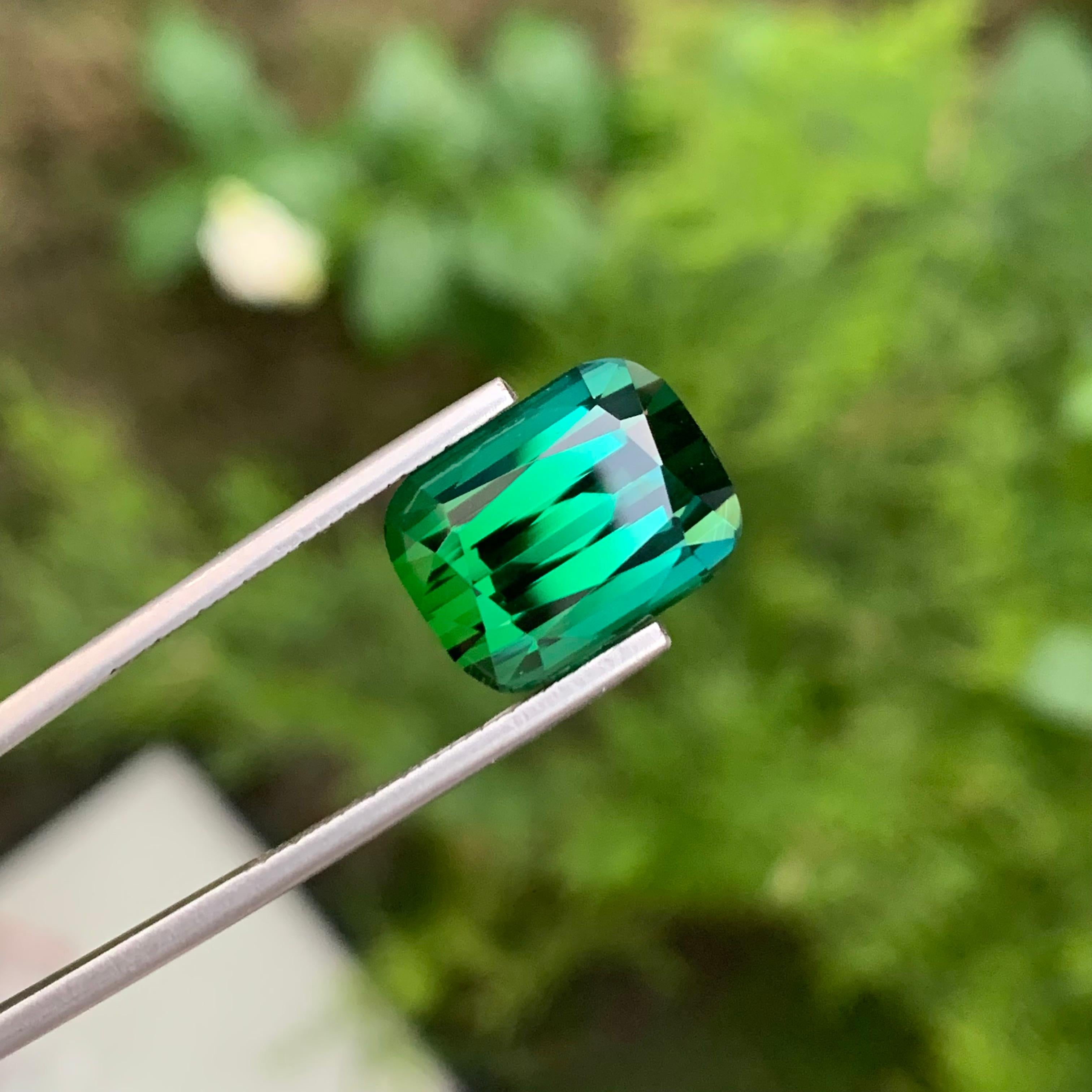Loupe Clean 13.00 Carat Natural Loose Bi Colour Tourmaline Cushion Shape Gem en vente 4