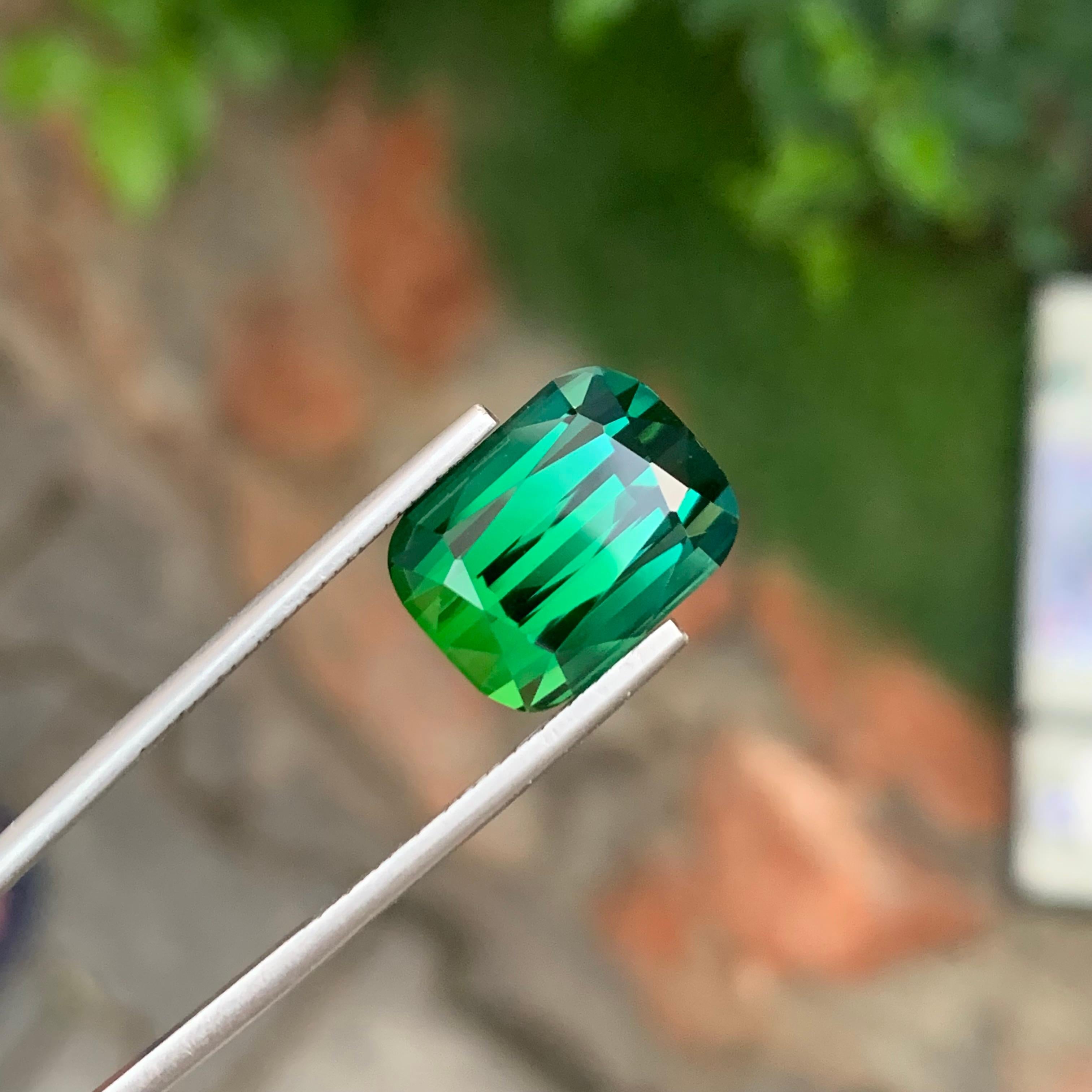 Loupe Clean 13.00 Carat Natural Loose Bi Colour Tourmaline Cushion Shape Gem en vente 5