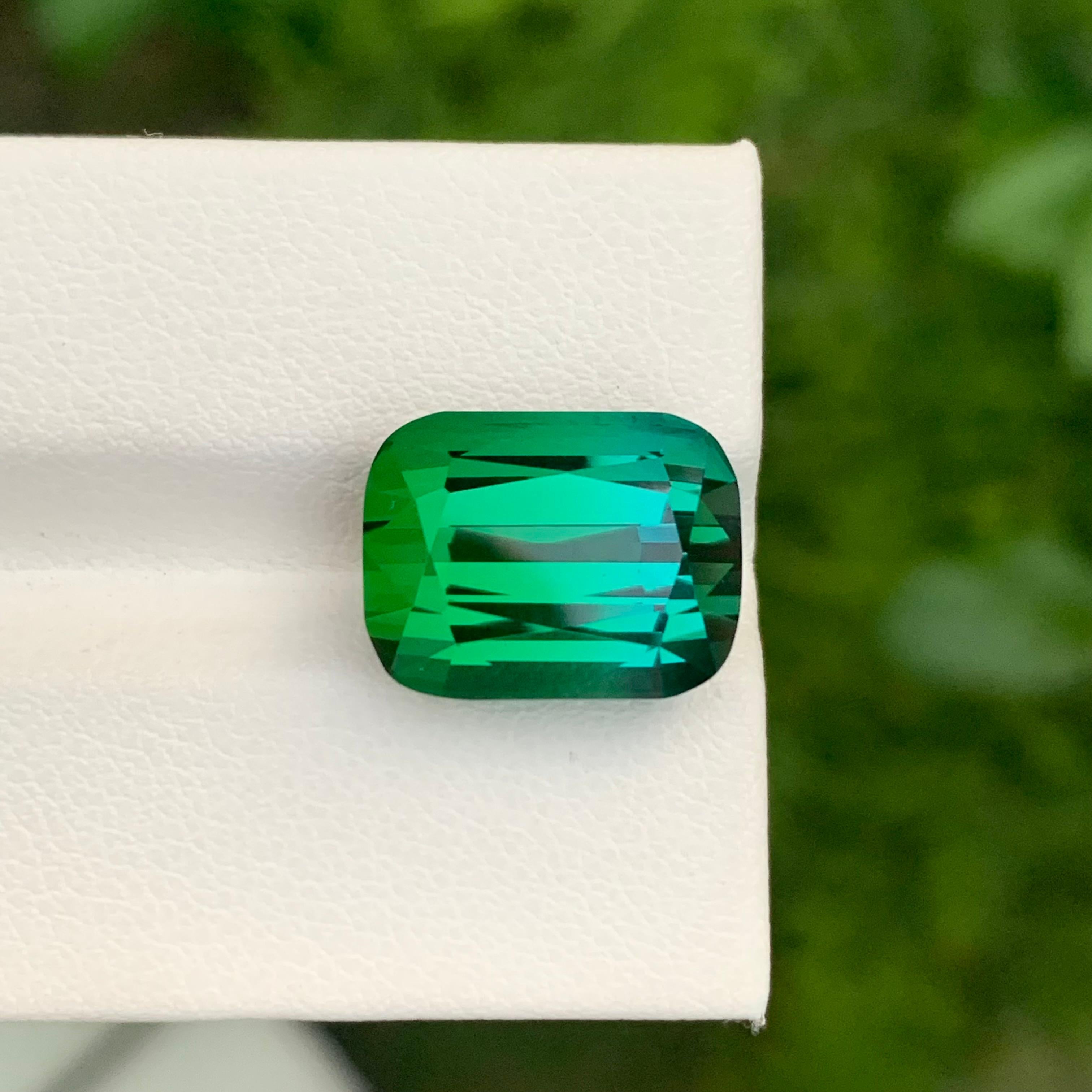 Loupe Clean 13.00 Carat Natural Loose Bi Colour Tourmaline Cushion Shape Gem en vente 2