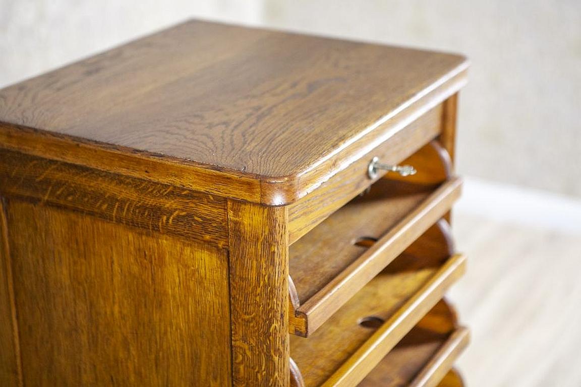 Louvered Door Oak Cabinet from the Early 20th Century 7