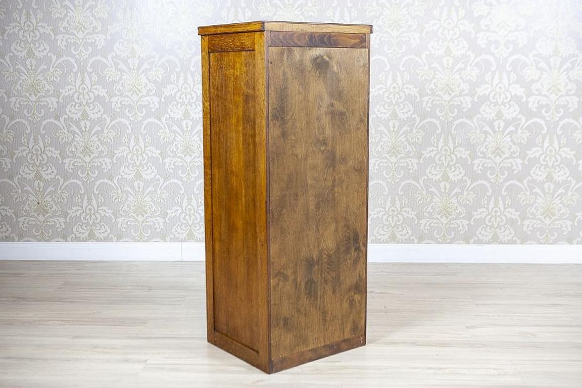 Louvered Door Oak Cabinet from the Early 20th Century 11