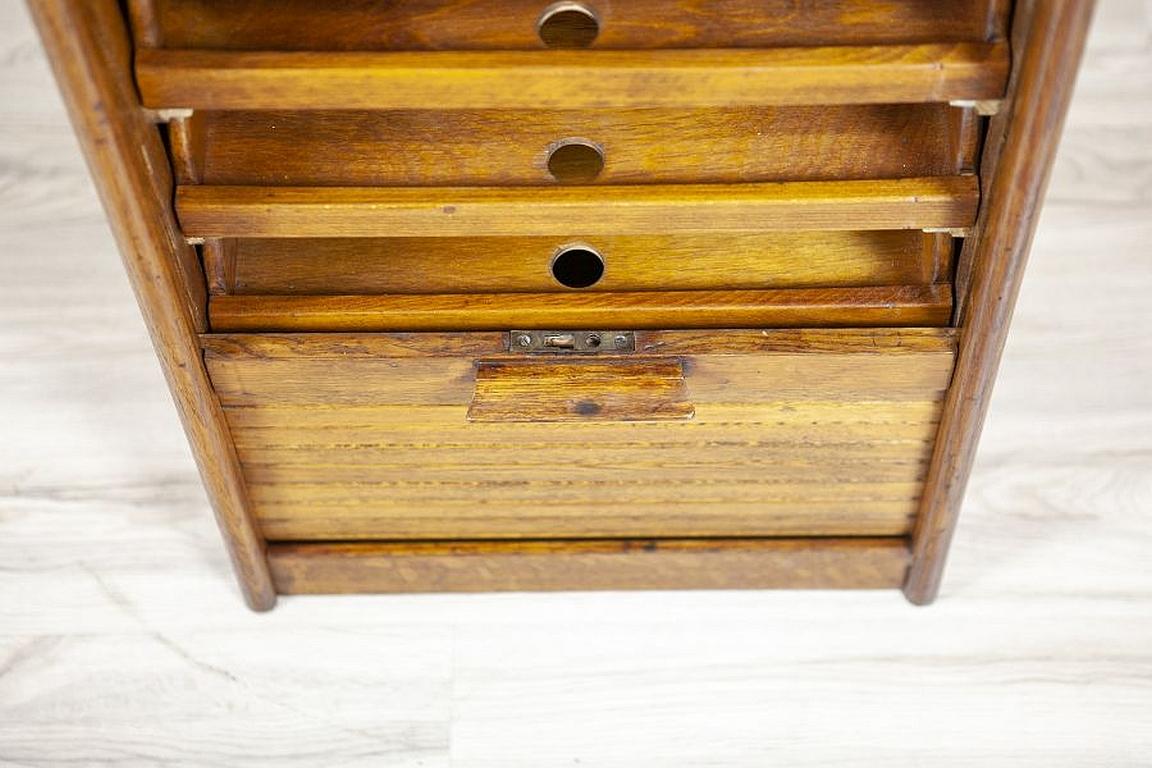 Louvered Door Oak Cabinet from the Early 20th Century 5