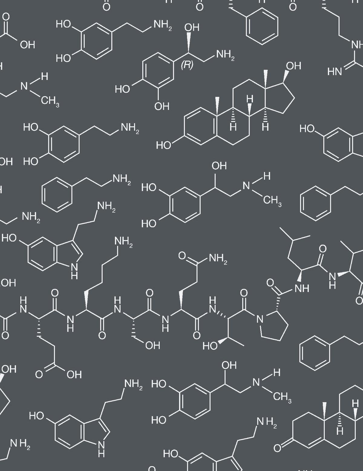 Love Molecules Designer-Tapete in Chalk 'Weiß auf Anthrazit' (21. Jahrhundert und zeitgenössisch) im Angebot