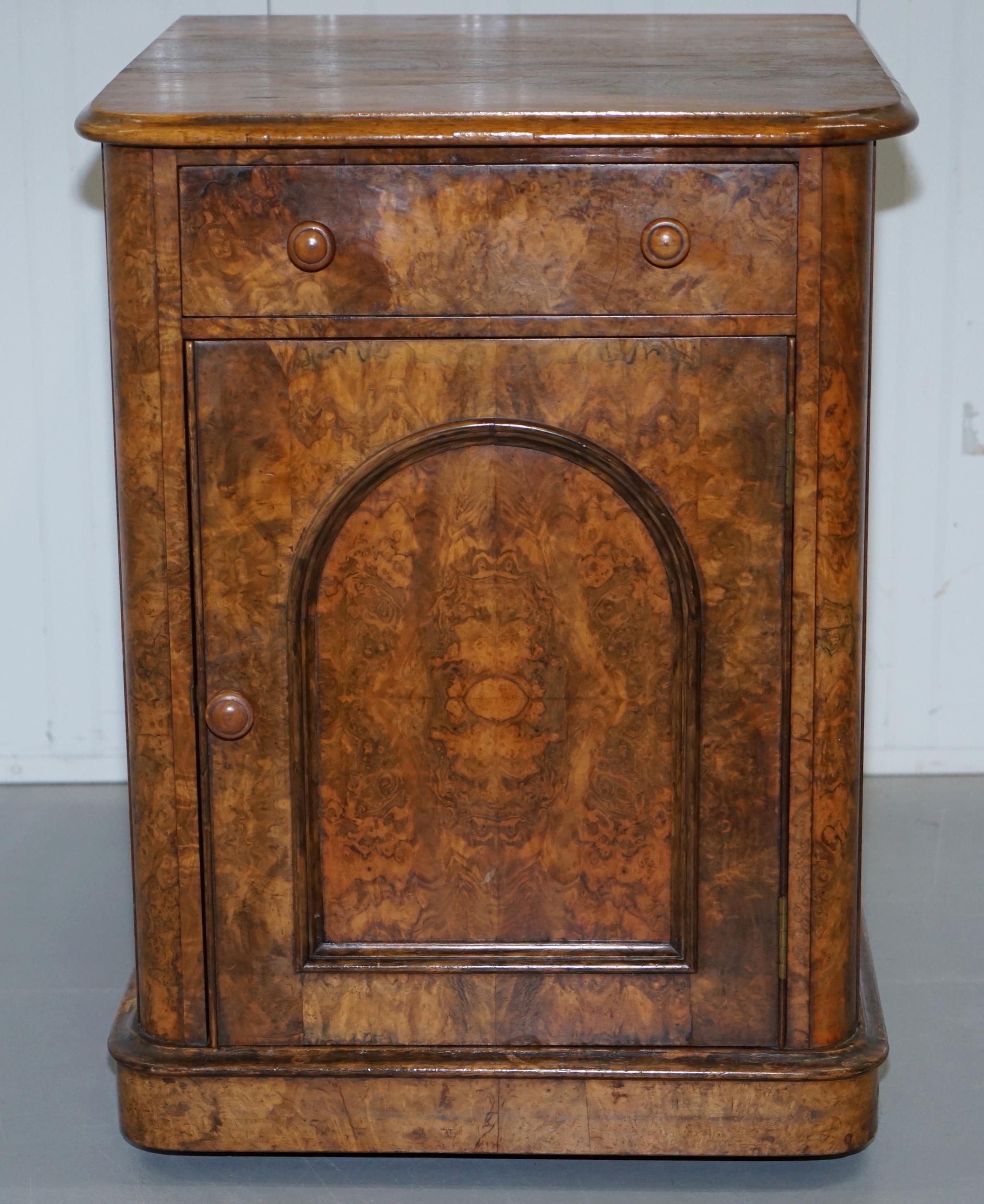 Hand-Carved Lovely 1860 Victorian Burr Walnut Side Table Cupboard Cabinet Huge Wood Castors