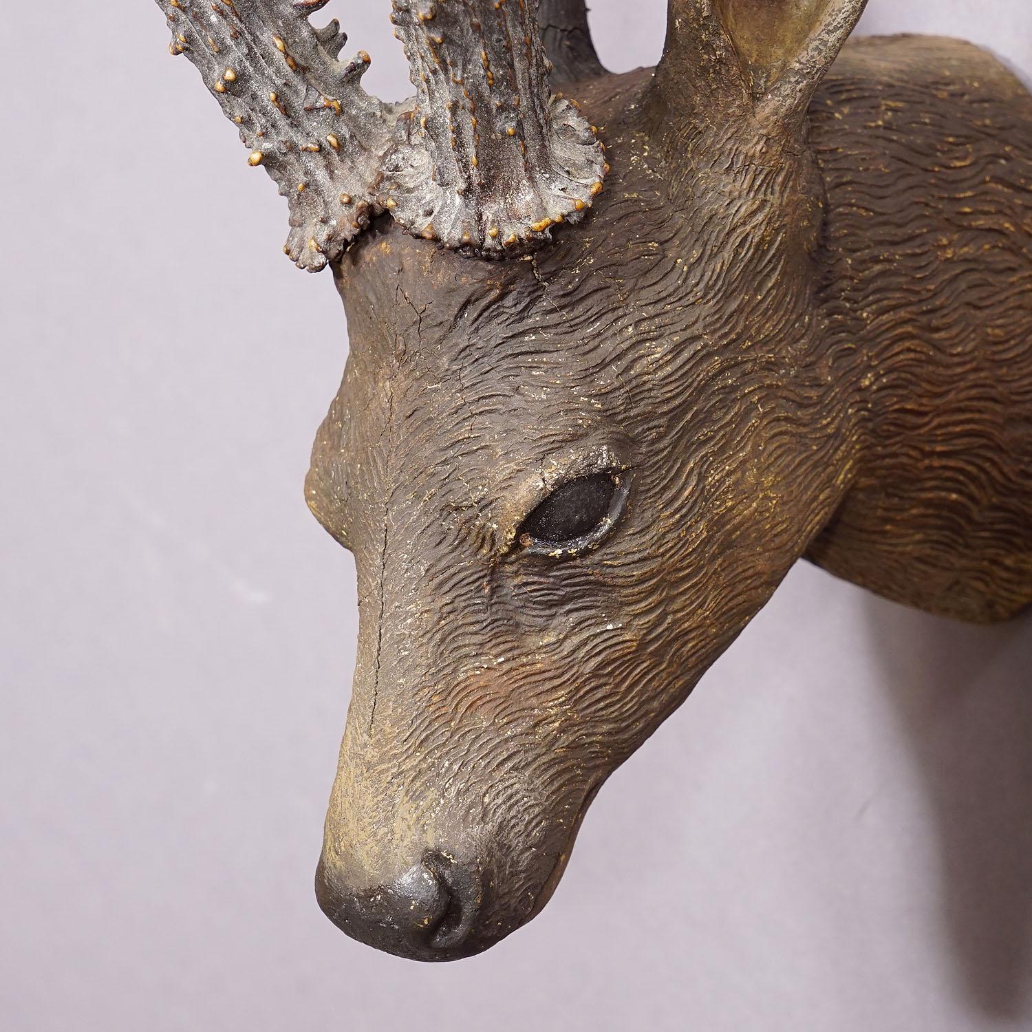 20th Century Lovely Antique Black Forest Deer Head ca. 1900s