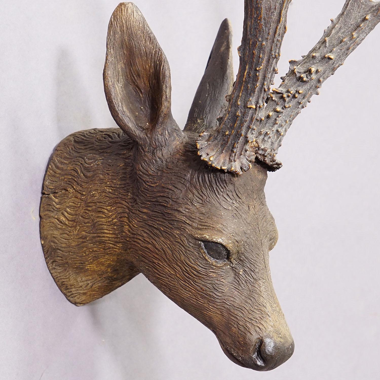 Horn Lovely Antique Black Forest Deer Head ca. 1900s