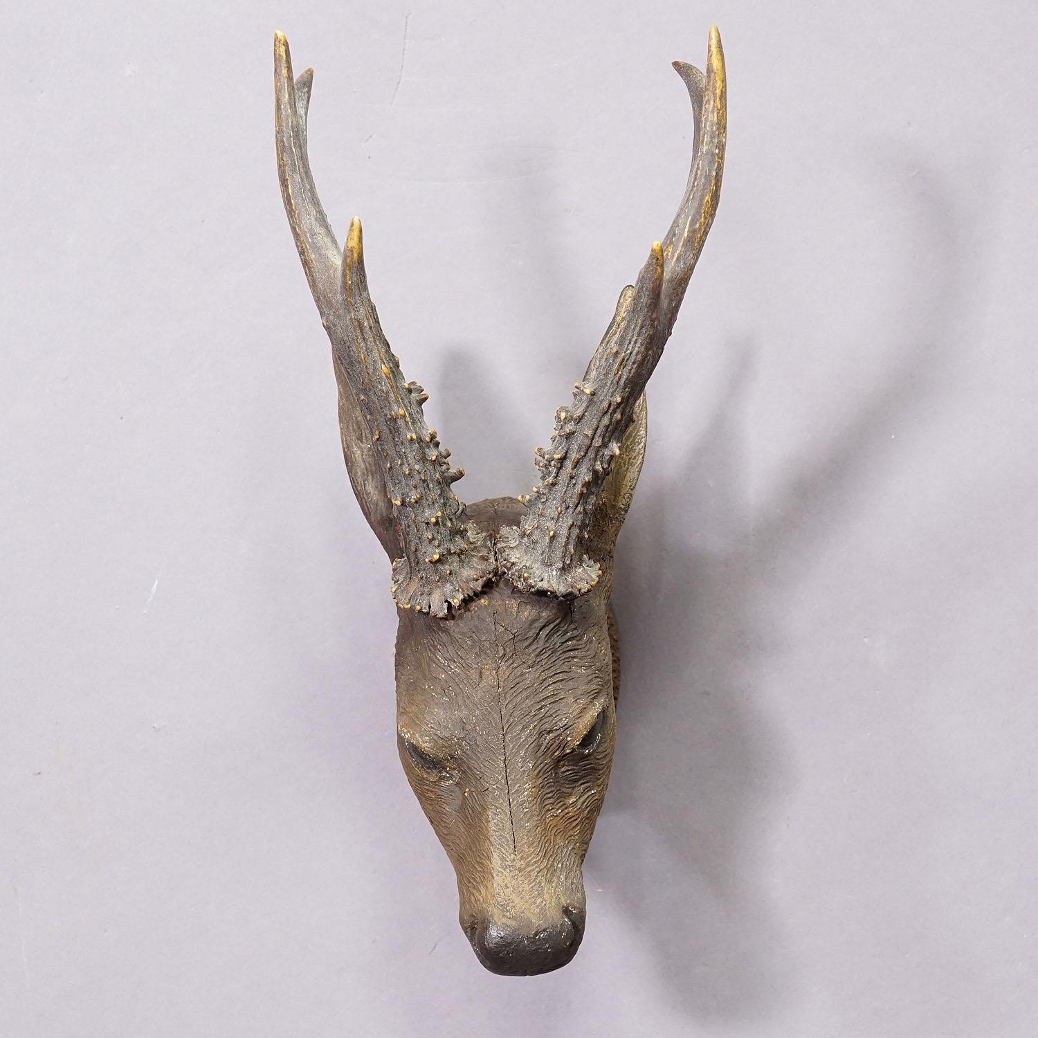 Lovely Antique Black Forest Deer Head ca. 1900s 1