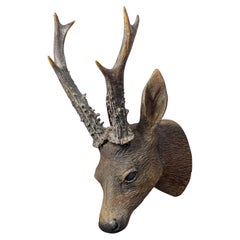 Lovely Antique Black Forest Deer Head ca. 1900s