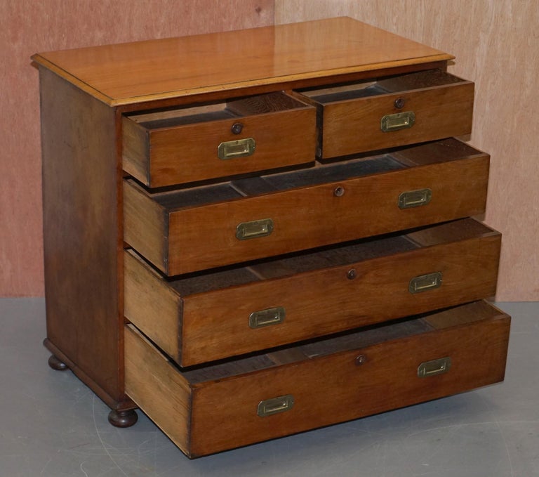 Lovely Antique Victorian Walnut Military Campaign Officers Chest of Drawers For Sale 6