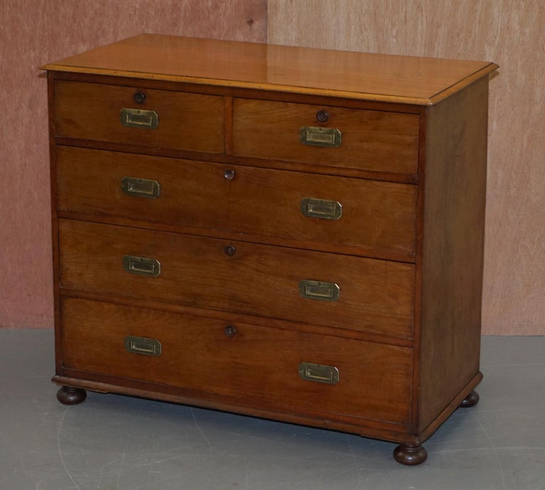 English Lovely Antique Victorian Walnut Military Campaign Officers Chest of Drawers For Sale