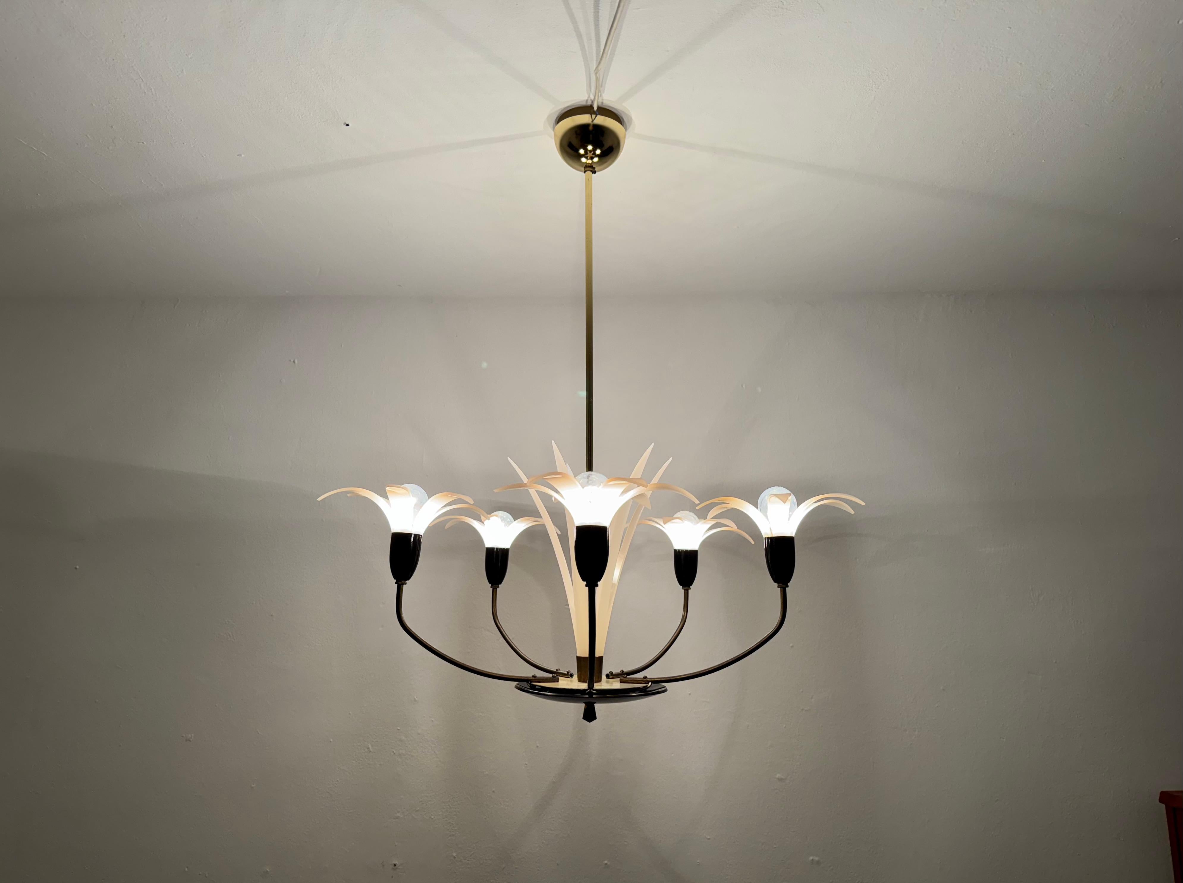 Lovely Brass and Acrylic Chandelier by Rupert Nikoll 3