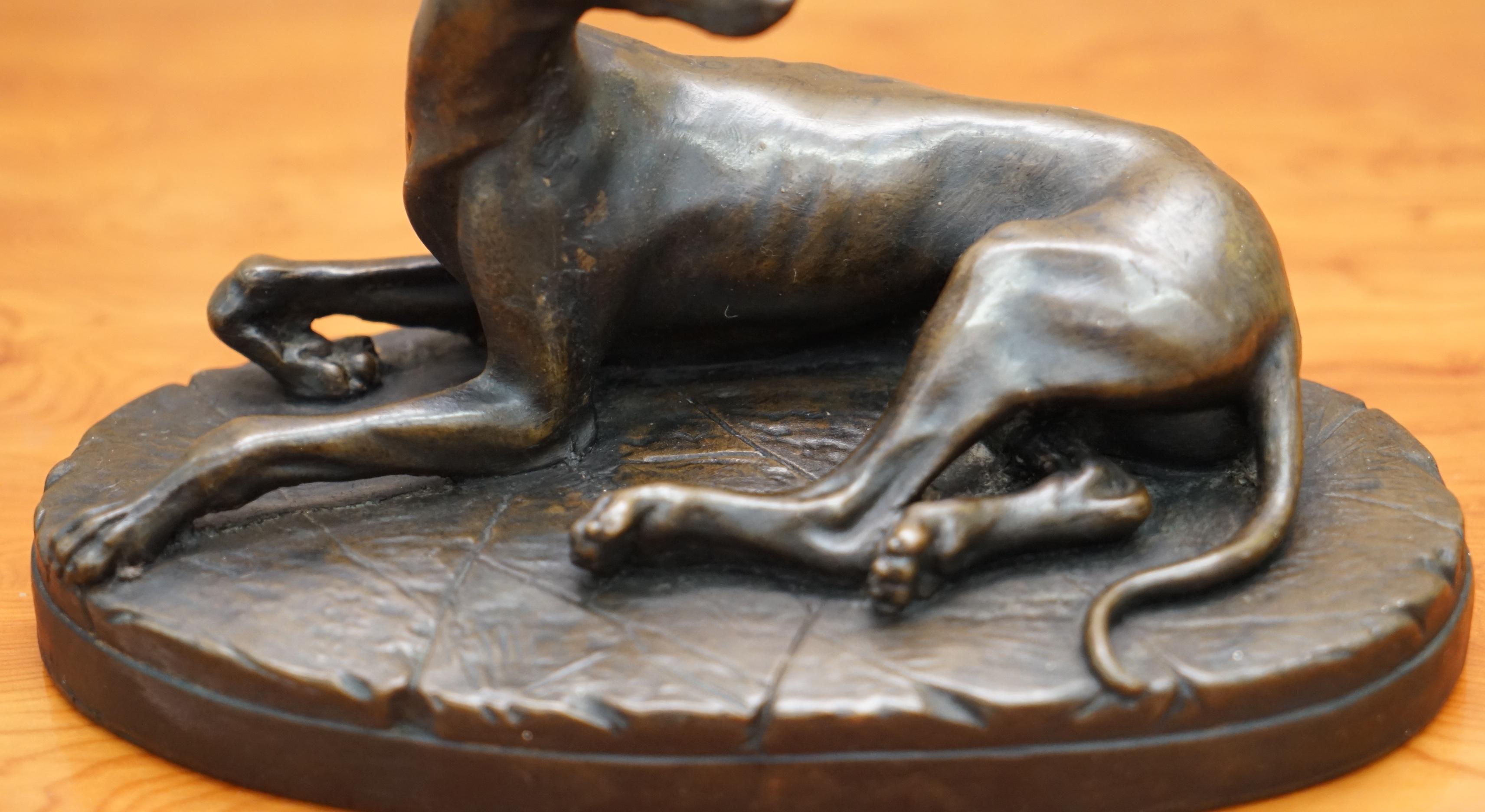 English Lovely Bronze Statue of a Whippet Dog Laying Down with a Expecting Expression