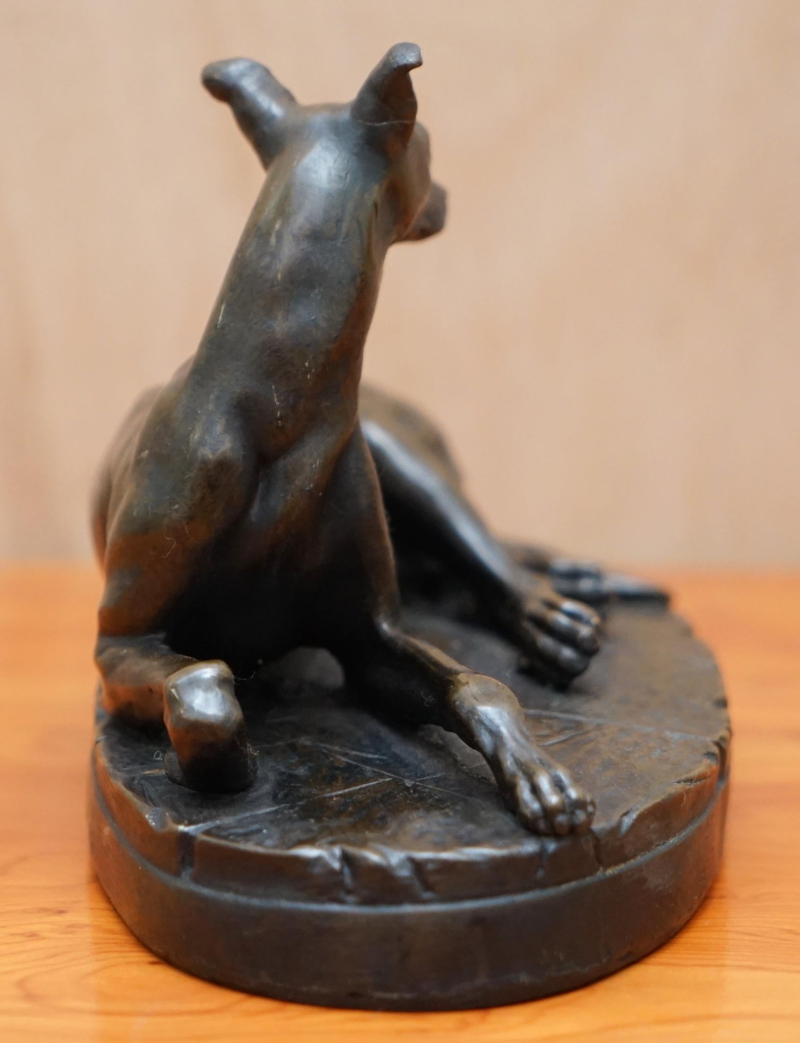 Mid-20th Century Lovely Bronze Statue of a Whippet Dog Laying Down with a Expecting Expression