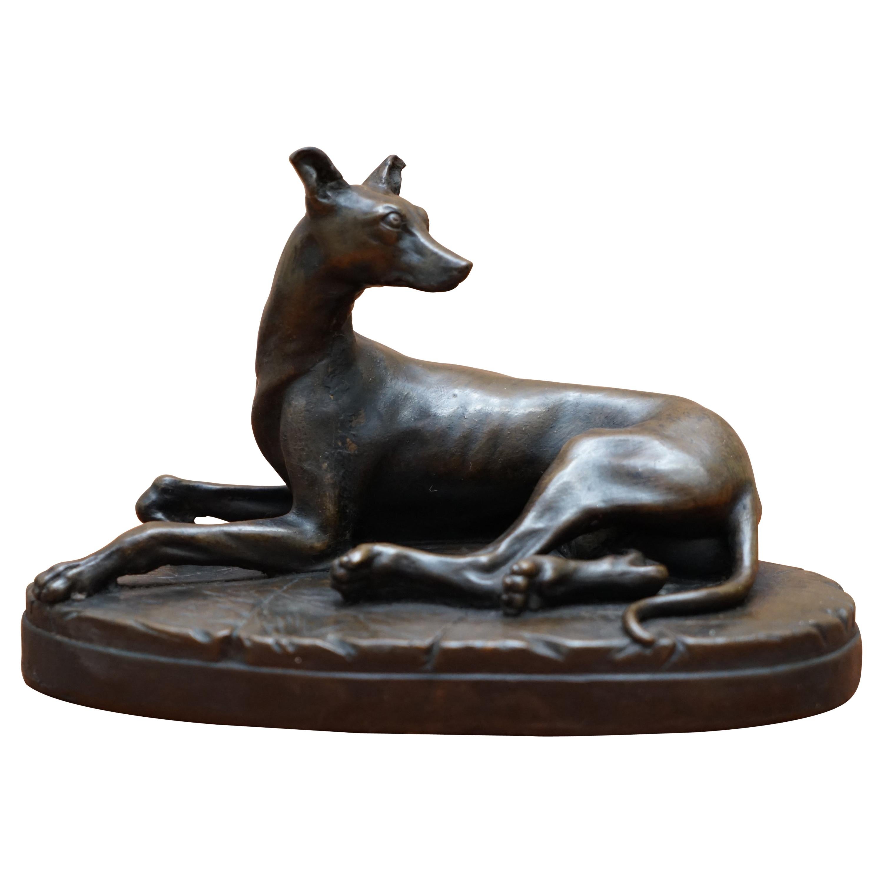 Lovely Bronze Statue of a Whippet Dog Laying Down with a Expecting Expression